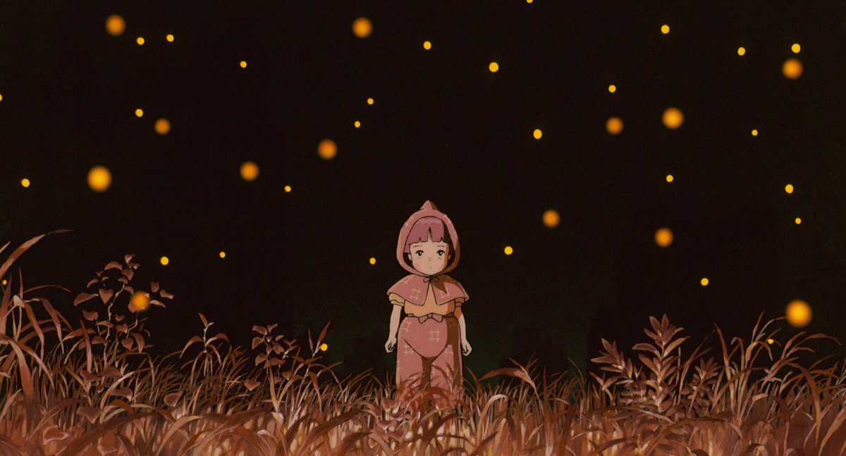 Nature Videos tweet media