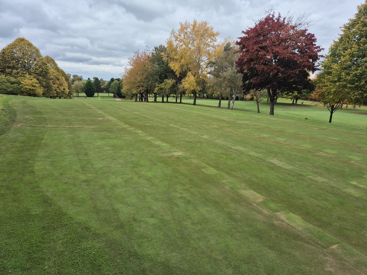 Billy Hayes tweet media