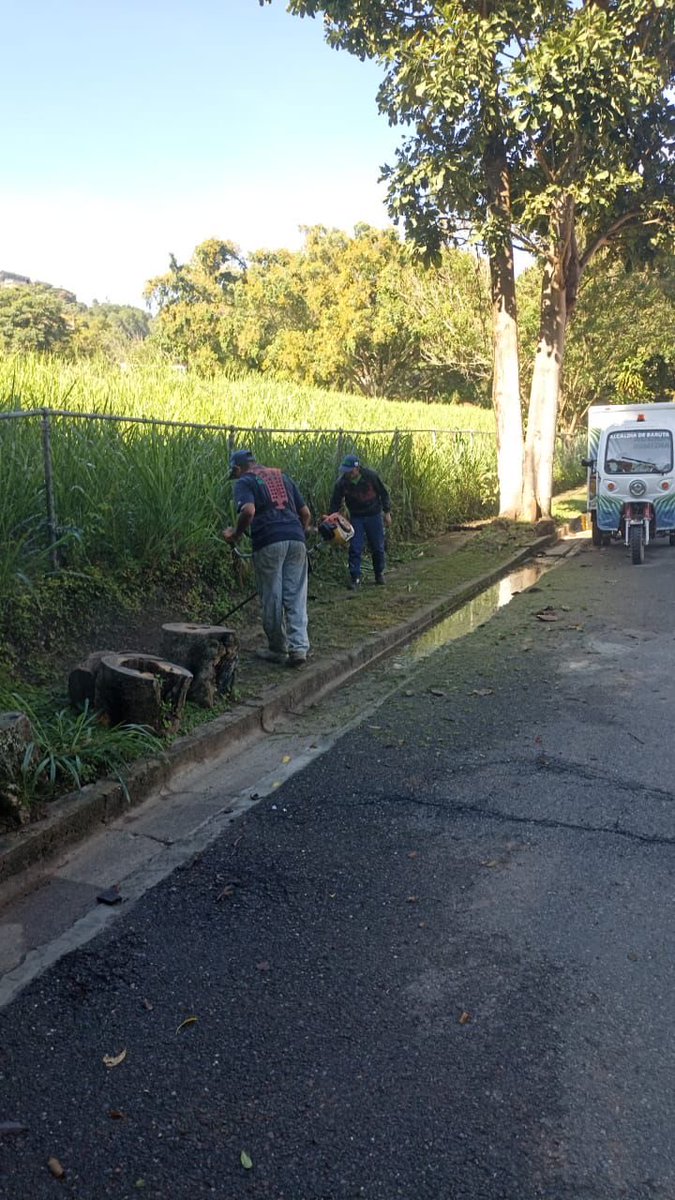 AlcaldiaBaruta's tweet photo. ¡Feliz día baruteños! 🍃
La cuadrilla de #AcciónInmediata se encuentra trabajando en:
🍃Desmalezado y recolección de desechos vegetales:
📍Urb. #PradosDelEste
📍Urb. #ColinasDeValleArriba
🍃Desmalezado:
📍Urb. #Sorokaima
🍃Limpieza y desmalezamiento:
📍Sector. #LasMinas https://t.co/mPrjPbGbss