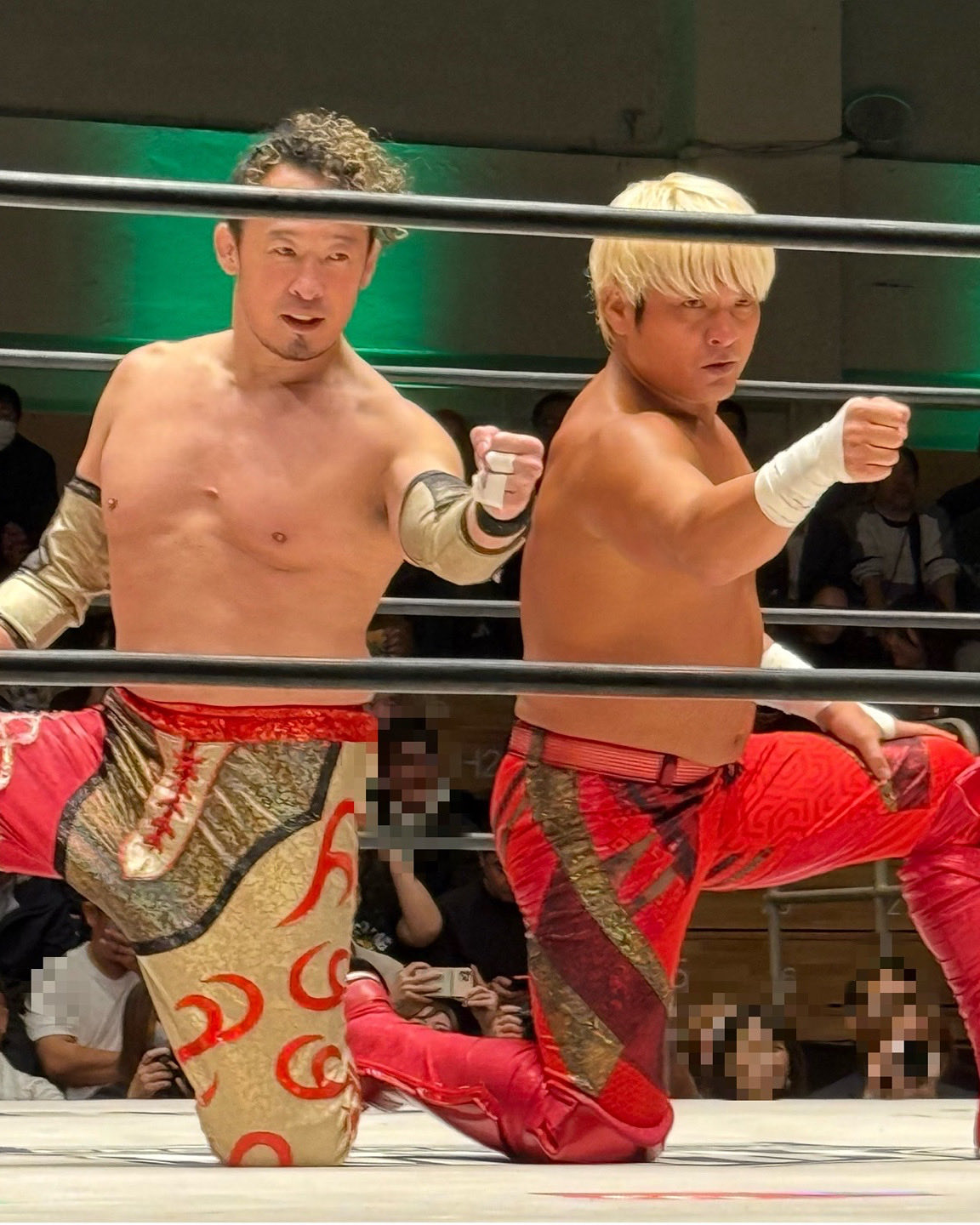 拳王　お取り置き 拳王 お取り置き 拳王 お取り置き 拳王 お取り置き 拳王