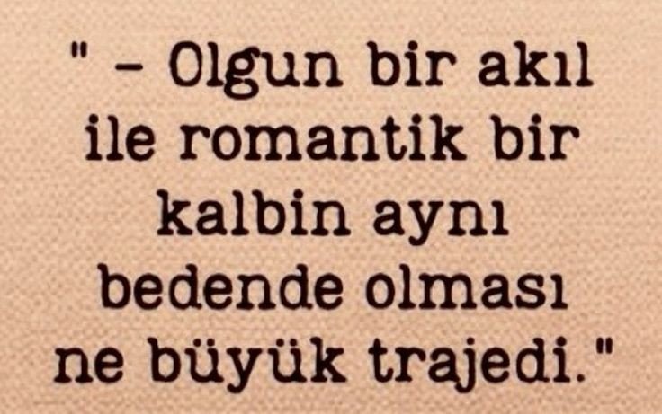 Ardıç Kuşu (@ardiskusu) on Twitter photo 