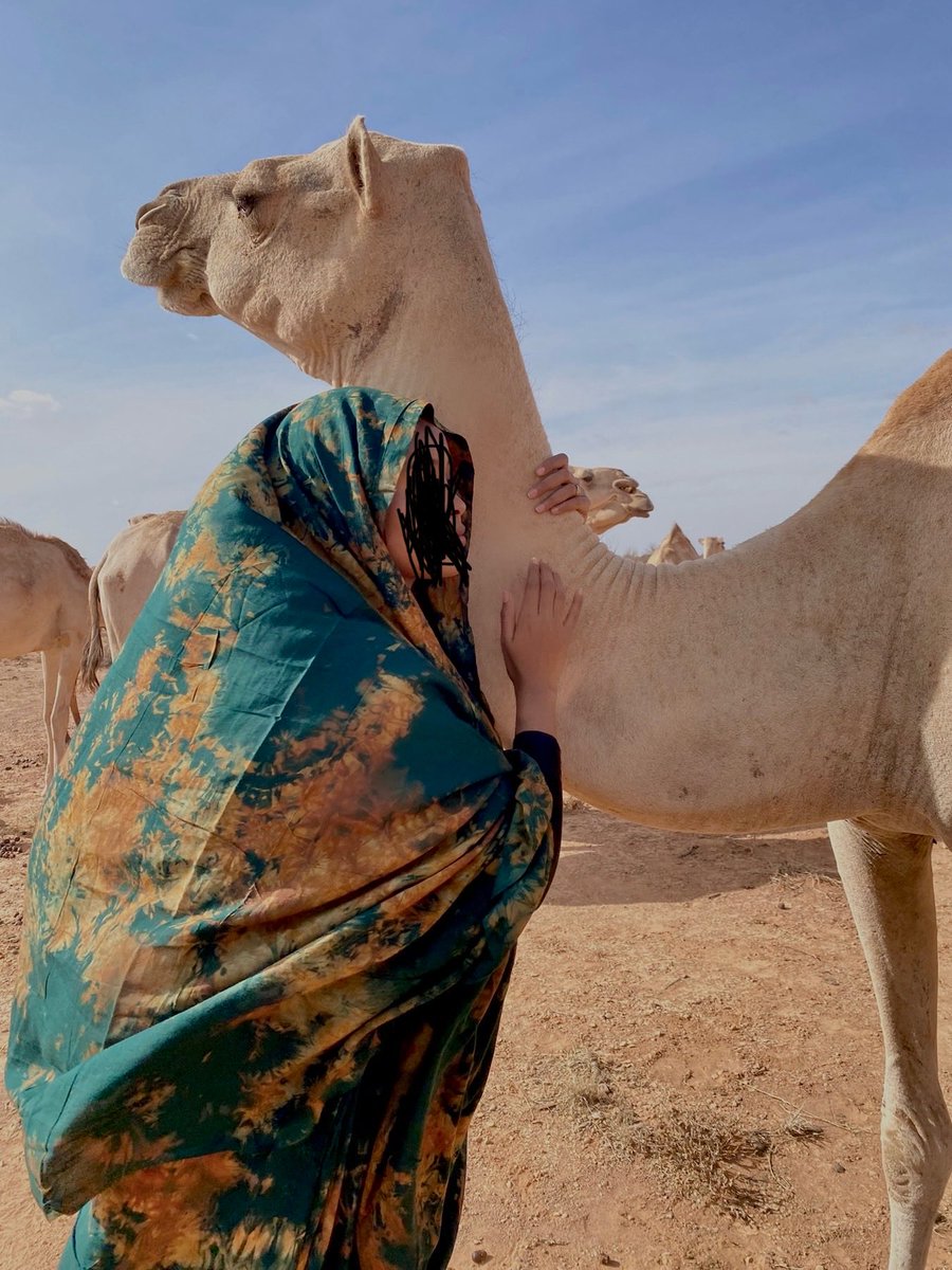 alif_ba8's tweet image. Reer guura iyo gabadh timo tidcani; waa waxa dhulkeena ugaara ee lay nagu gartaa.

I did it before it was a trend 🫠🐪 
#Summer2024