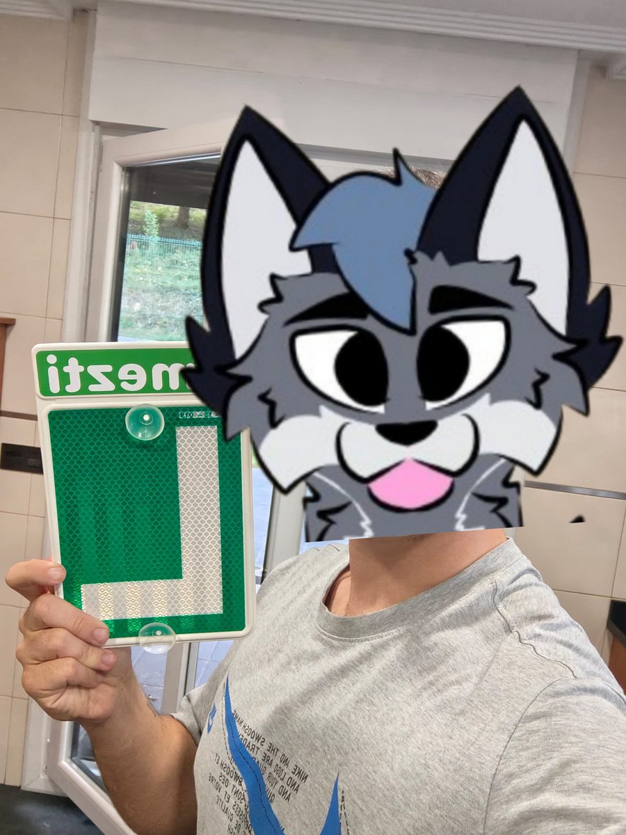 Sabía que lo ibas a conseguir y confiaba en ti, te amo mucho mi niño y me hace tanta ilusión que ya tengas el carnet ❤️🥺🥺🥺 <a href="/Warlack_Fox/">Warlack</a>