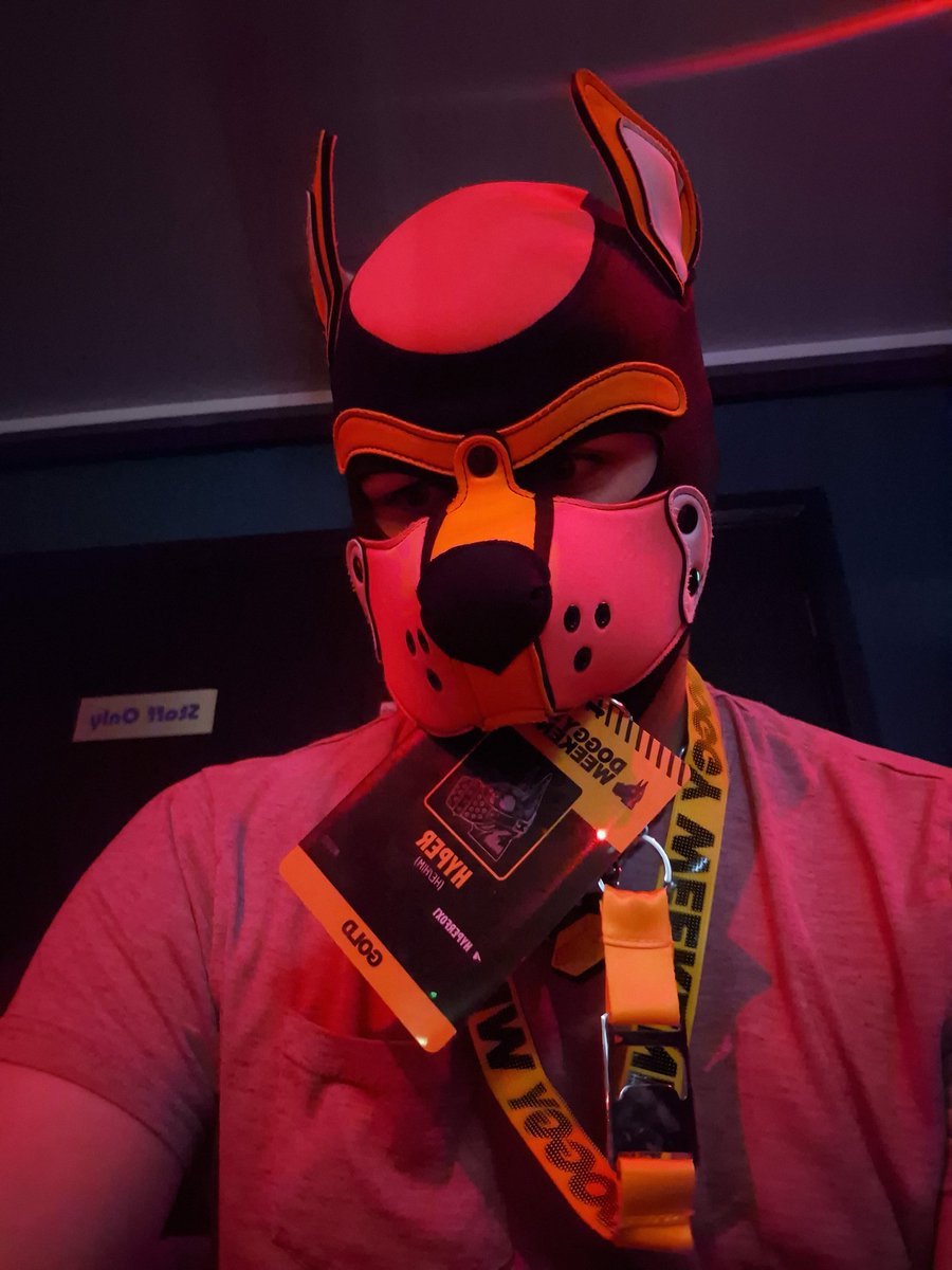 Arooooooo! It's doggy weekend! Come and say hi 🥹 boop me and hugs......maybe more :3