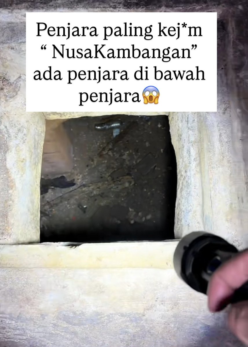 allea ayudiah tweet media