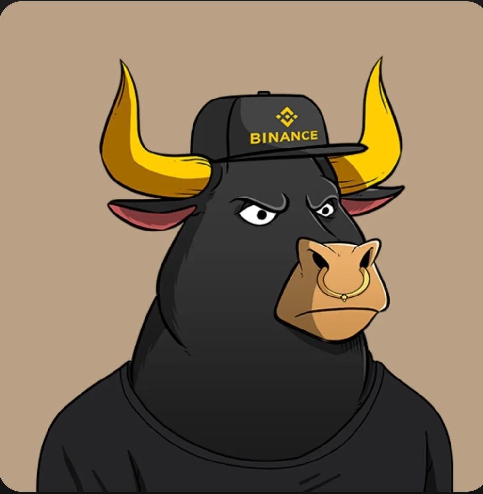 TheBullSoc's tweet image. Great job @four_meme_ keep building 🐂