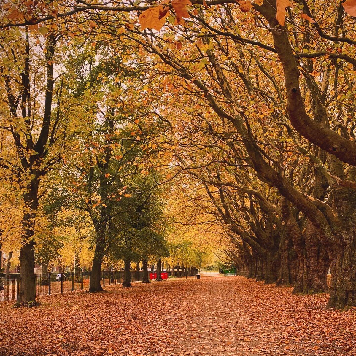 Autumn at Cringle Park in Levenshulme 🍁🍂

#AutumnVibes #manchester