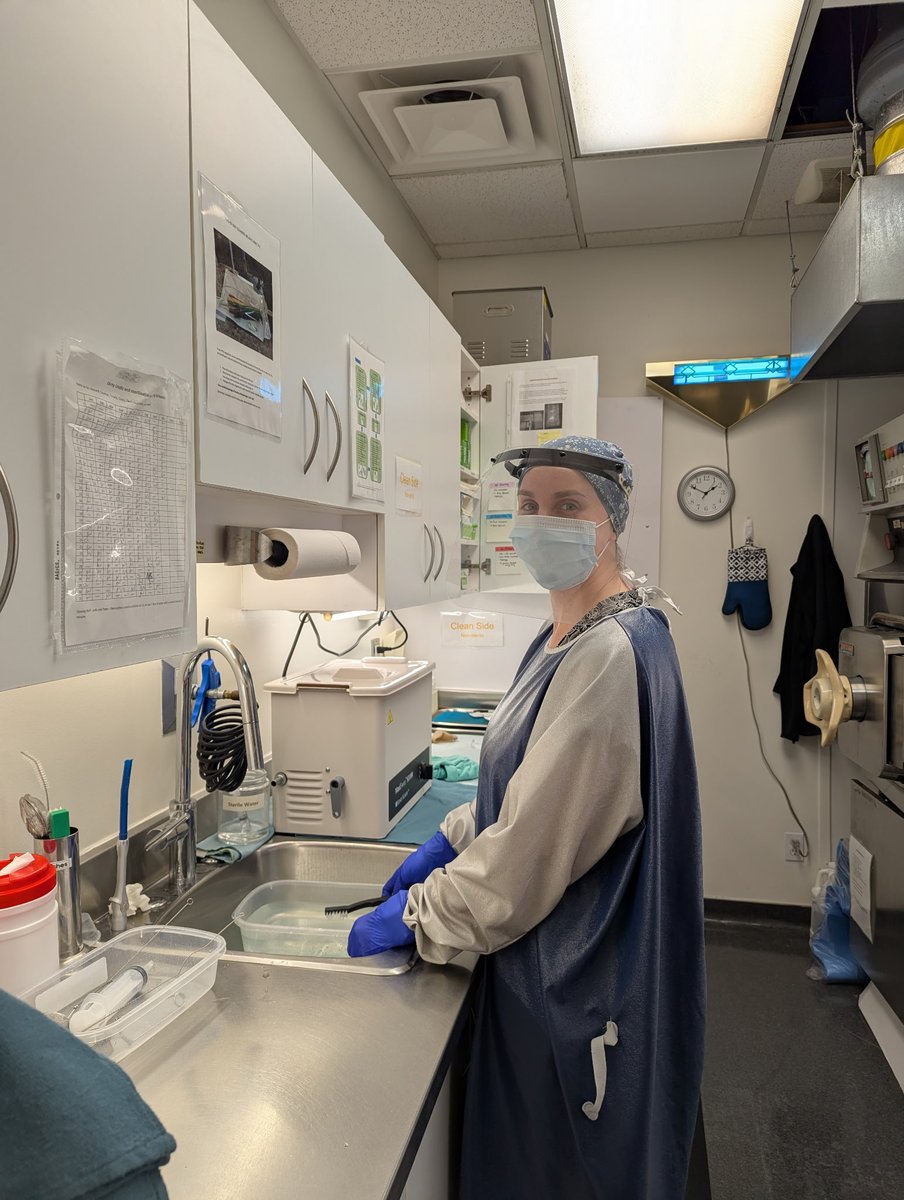 ArgyleOMFS's tweet photo. This #MDRWeek, we’re celebrating the unsung heroes behind every safe procedure - our incredible Sterilization Technicians!

Your precision and dedication keep our OMFS teams and patients safe every day. 💙 https://t.co/FfdYh6F9Mx