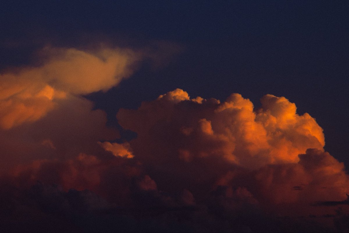 Tenebrous tweet media