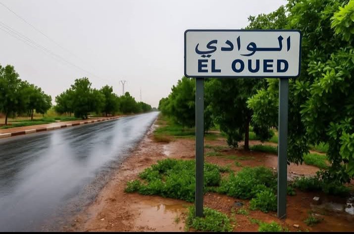 ماذا لو تحولت #الوادي الى هكذا 🌲
جنة على الارض 🌲🌳