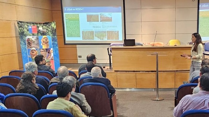 conaf_minagri's tweet photo. 📍#SANTIAGO | Durante esta jornada, #𝗖𝗢𝗡𝗔𝗙 𝗱𝗶𝗼 𝗮 𝗰𝗼𝗻𝗼𝗰𝗲𝗿 𝗲𝗹 𝗱𝗲𝘀𝗮𝗿𝗿𝗼𝗹𝗹𝗼 𝗱𝗲 𝗹𝗮 𝗶𝗻𝘀𝘁𝗶𝘁𝘂𝗰𝗶𝗼́𝗻 𝗲𝗻 𝗹𝗼𝘀 𝘀𝗶𝘀𝘁𝗲𝗺𝗮𝘀 𝗱𝗲 𝗺𝗼𝗻𝗶𝘁𝗼𝗿𝗲𝗼 𝗲𝗻 𝘀𝘂𝘀 𝗱𝗶𝗳𝗲𝗿𝗲𝗻𝘁𝗲𝘀 𝗹𝗶́𝗻𝗲𝗮𝘀 𝗱𝗲 𝗮𝗰𝗰𝗶𝗼́𝗻, a través del seminario “𝗦𝗶𝘀𝘁𝗲𝗺𝗮𝘀 𝗱𝗲 𝗠𝗼𝗻𝗶𝘁𝗼𝗿𝗲𝗼 𝗧𝗲𝗿𝗿𝗶𝘁𝗼𝗿𝗶𝗮𝗹: 𝗘𝘀𝘁𝗮𝗱𝗼 𝗮𝗰𝘁𝘂𝗮𝗹 𝘆 𝗱𝗲𝘀𝗮𝗳𝗶́𝗼𝘀”, donde el gerente de Fiscalización Forestal y Evaluación Ambiental de #CONAF, Bernardo Martínez, destacó el trabajo de los equipos de las distintas gerencias de la institución en esta materia.

Durante el encuentro se realizó una serie de exposiciones, entre ellas:

✅“𝗧𝗲𝗰𝗻𝗼𝗹𝗼𝗴𝗶́𝗮𝘀 𝗱𝗲 𝗠𝗼𝗻𝗶𝘁𝗼𝗿𝗲𝗼 𝗘𝘀𝘁𝗮𝗻𝗱𝗮𝗿𝗶𝘇𝗮𝗱𝗮𝘀 𝗽𝗮𝗿𝗮 𝗹𝗮 𝗘𝘃𝗮𝗹𝘂𝗮𝗰𝗶𝗼́𝗻 𝗱𝗲 𝗔́𝗿𝗲𝗮𝘀 𝗦𝗶𝗹𝘃𝗲𝘀𝘁𝗿𝗲𝘀 𝗣𝗿𝗼𝘁𝗲𝗴𝗶𝗱𝗮𝘀”, a cargo de Ignacio Díaz, de la Gerencia de Áreas Silvestres Protegidas, en que destacó la plataforma https://t.co/JPmkiFfJNv y https://t.co/OrkR8ixE4y, donde las personas interesadas pueden conocer sobre la fauna nativa de Chile y posibles amenazas.

✅"𝗖𝗮𝘁𝗲𝗴𝗼𝗿𝗶𝘇𝗮𝗰𝗶𝗼́𝗻 𝗱𝗲 𝗹𝗮 𝗽𝗿𝗼𝗽𝗶𝗲𝗱𝗮𝗱 𝗳𝗼𝗿𝗲𝘀𝘁𝗮𝗹: 𝗮𝘃𝗮𝗻𝗰𝗲𝘀 𝘆 𝗱𝗲𝘀𝗮𝗳𝗶́𝗼𝘀 𝗽𝗮𝗿𝗮 𝗹𝗮 𝗴𝗲𝘀𝘁𝗶𝗼́𝗻 𝗮 𝗲𝘀𝗰𝗮𝗹𝗮 𝗽𝗿𝗲𝗱𝗶𝗮𝗹", expuso Alfonso del Río, jefe del Departamento de Gestión Forestal, de la Gerencia de Bosques y Cambio Climático.

✅"𝗠𝗼𝗻𝗶𝘁𝗼𝗿𝗲𝗼, 𝗿𝗲𝗽𝗼𝗿𝘁𝗲 𝘆 𝘃𝗲𝗿𝗶𝗳𝗶𝗰𝗮𝗰𝗶𝗼́𝗻 𝗽𝗮𝗿𝗮 𝗲𝗹 𝘀𝗲𝗴𝘂𝗶𝗺𝗶𝗲𝗻𝘁𝗼 𝗱𝗲 𝗮𝗰𝗰𝗶𝗼𝗻𝗲𝘀 𝗱𝗲 𝗺𝗶𝘁𝗶𝗴𝗮𝗰𝗶𝗼́𝗻 𝗮𝗹 𝗰𝗮𝗺𝗯𝗶𝗼 𝗰𝗹𝗶𝗺𝗮́𝘁𝗶𝗰𝗼", expuesto por Georgina Trujillo, jefa de la sección Departamento de Cambio Climático y Servicios Ecosistémicos, de l Gerencia de Bosques y Cambio Climático.

✅"𝗠𝗼𝗻𝗶𝘁𝗼𝗿𝗲𝗼 𝗱𝗲 𝗲𝗰𝗼𝘀𝗶𝘀𝘁𝗲𝗺𝗮𝘀: 𝗰𝗮𝘁𝗮𝘀𝘁𝗿𝗼 𝗱𝗲 𝗹𝗼𝘀 𝗿𝗲𝗰𝘂𝗿𝘀𝗼𝘀 𝘃𝗲𝗴𝗲𝘁𝗮𝗰𝗶𝗼𝗻𝗮𝗹𝗲𝘀, 𝗮𝗰𝘁𝘂𝗮𝗹𝗶𝘇𝗮𝗰𝗶𝗼𝗻𝗲𝘀 𝘆 𝗱𝗲𝘀𝗮𝗳𝗶́𝗼𝘀", presentado por Francoise Pincheira, jefa del Departamento de Monitoreo, de la Gerencia de Fiscalización Forestal y Evaluación Ambiental se #CONAF.