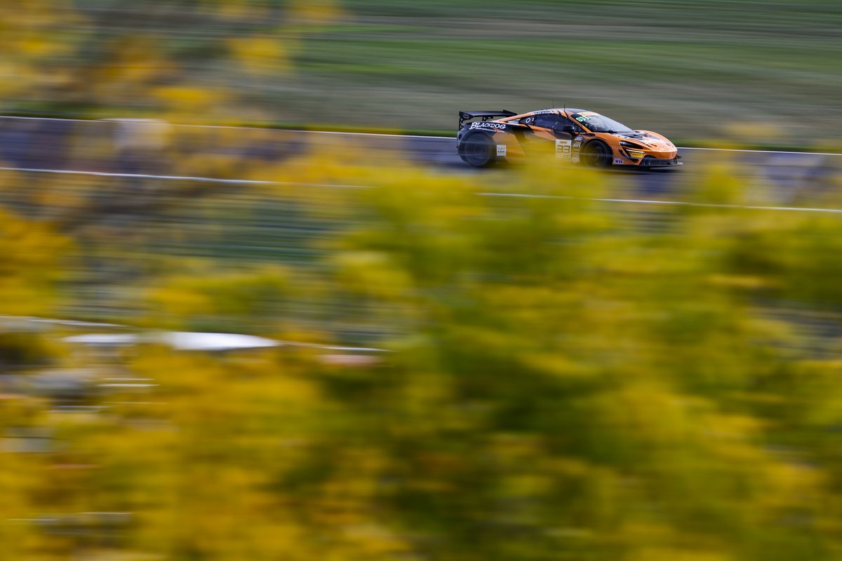 Blackdog Performance Cars tweet media