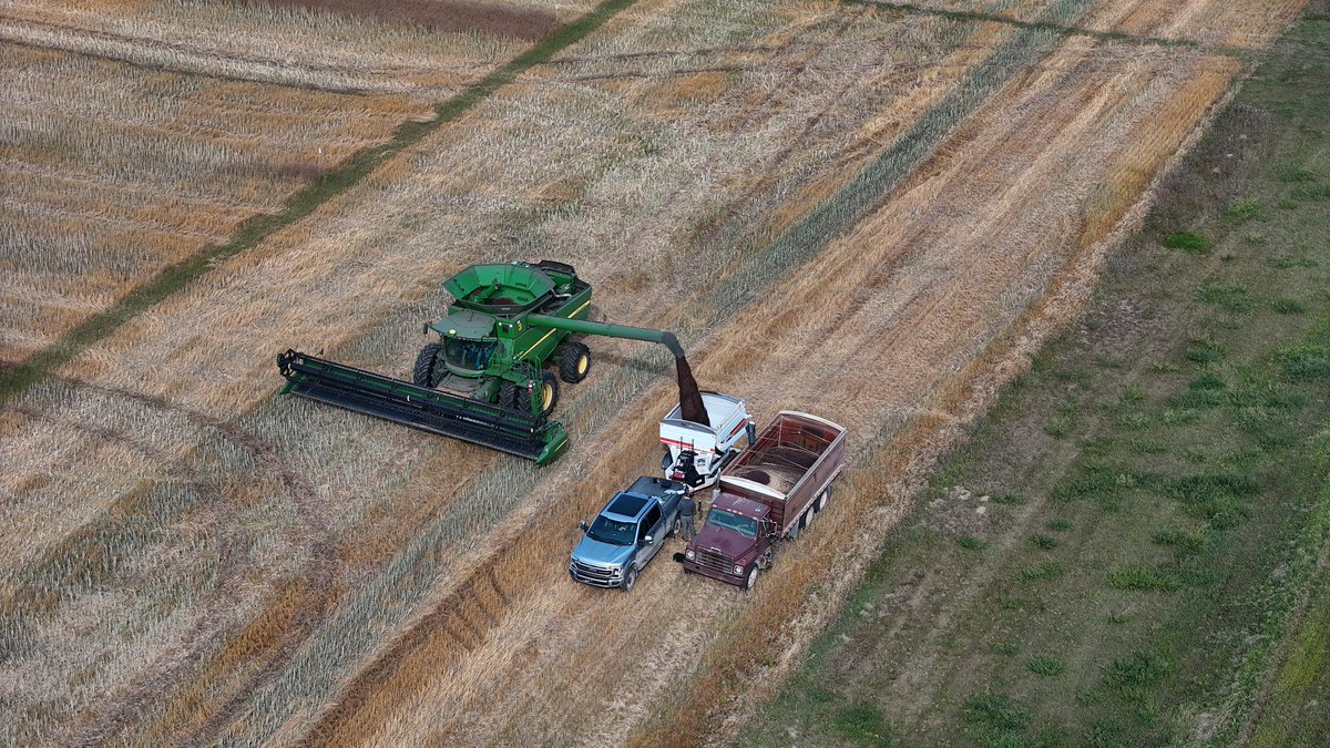 Mike Partyka tweet media