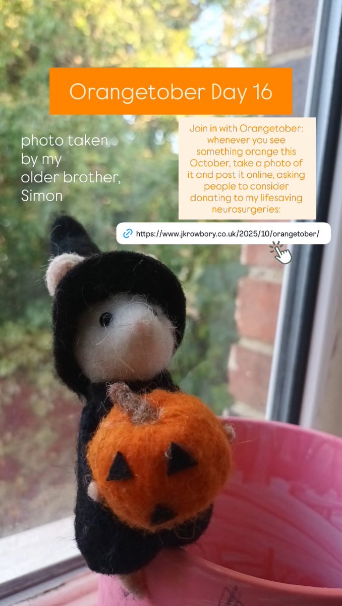 Orangetober Day 16: mouse holding an orange pumpkin. Join in with Orangetober: whenever you see something orange this October, take a photo of it &amp; post it online, asking people to consider donating to my lifesaving neurosurgeries jkrowbory.co.uk/2025/10/orange… Thank you 🧡🧡🧡