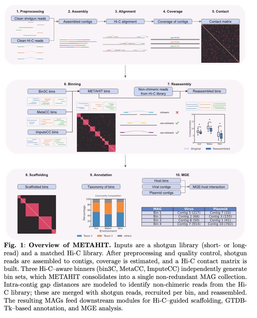 strnr's tweet image. METAHIT enables comprehensive and flexible genome-resolved microbiome analysis with metagenomic Hi-C biorxiv.org/content/10.110… 🧬🖥️🧪 github.com/dyxstat/METAHIT