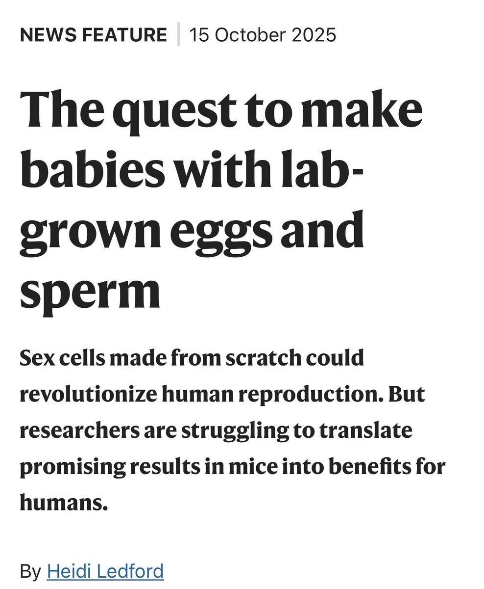The quest to make babies with lab-grown eggs and sperm. 
An excellent news feature by Nature: tempered optimism, with critical caveats underscored. And great to see commentary from so many names in the field!

nature.com/articles/d4158…
