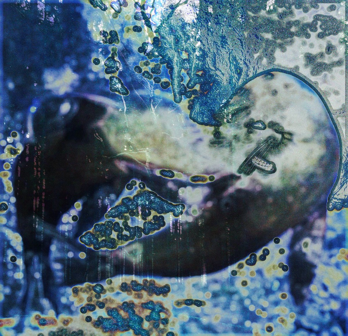 I have posted ARAEL BOW: DREAMGLASS WINGED INTERFACE NEON XYLEM, which introduced last weeks release party event, to my Soundcloud! 

Thank you to everyone who could make it, and a special thanks to those that contributed their amazing sets!