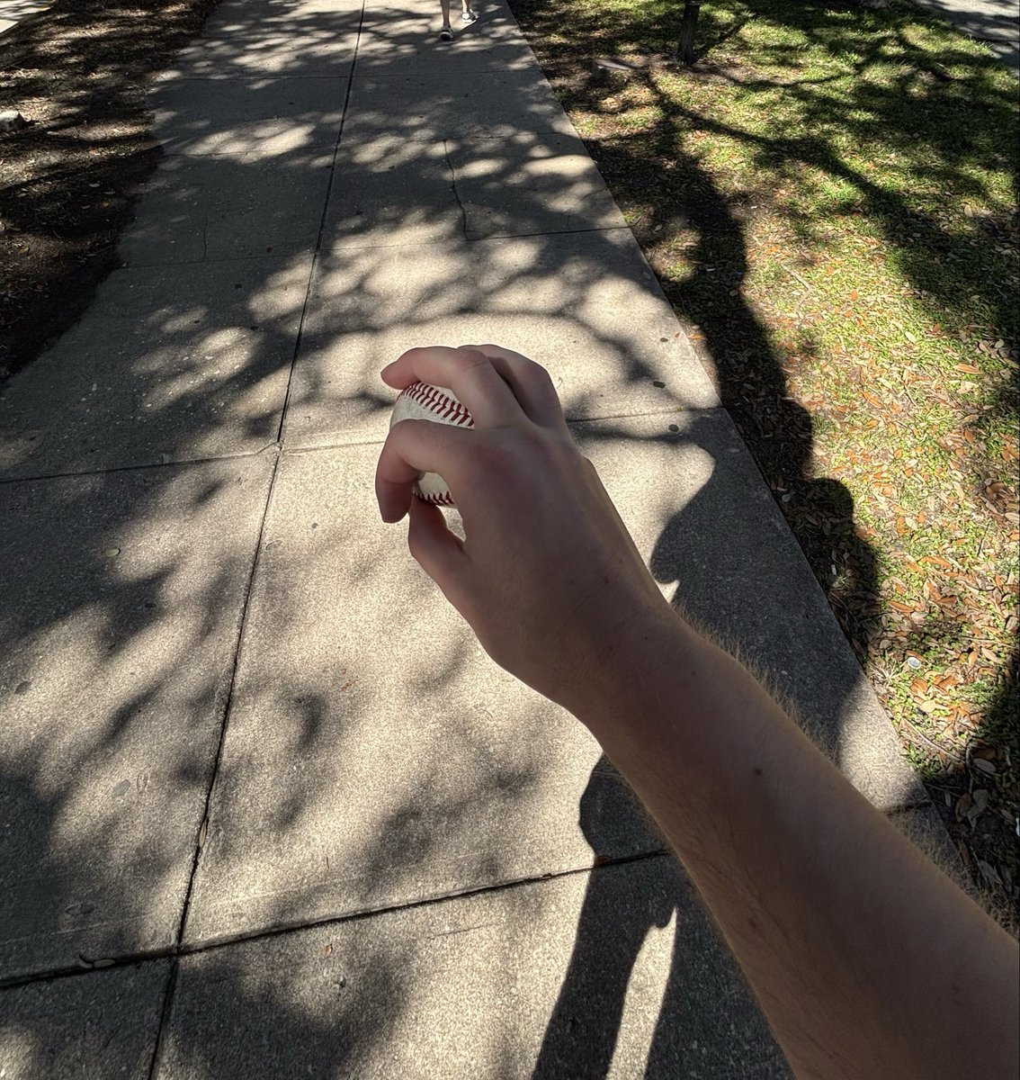 fan of the program tweet media