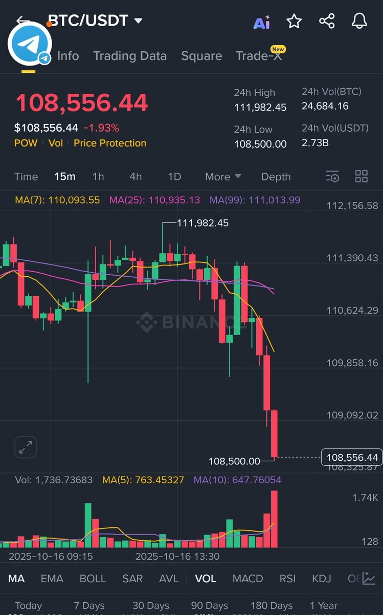 未使用 Bear Market Strategy 4冊セット Jaredad.🐸®️ on X: 