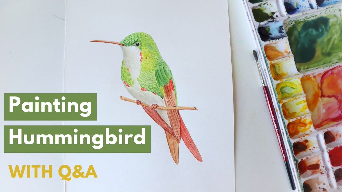 Painting a Watercolor Hummingbird | Wet-on-Wet vs Wet-on-Dry + Watercolo... youtu.be/6UM4mcZnqEo?si… via <a href="/YouTube/">YouTube</a>  #WatercolorArt #watercolor #hummingbird #illustration