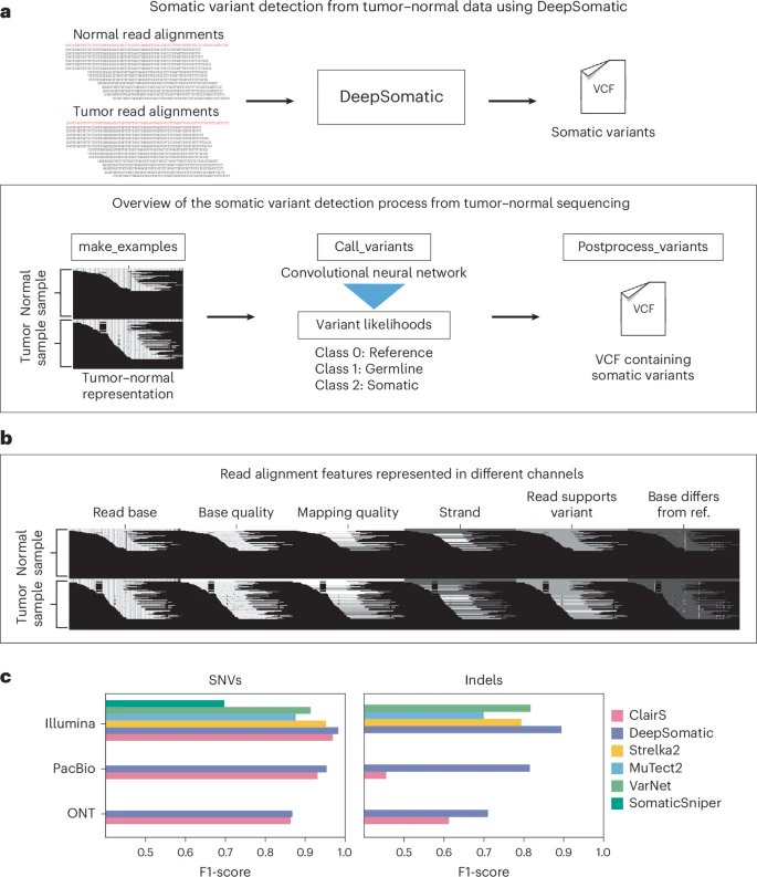 Accurate somatic small variant discovery for multiple sequencing technologies with DeepSomatic go.nature.com/4qa6m0d
