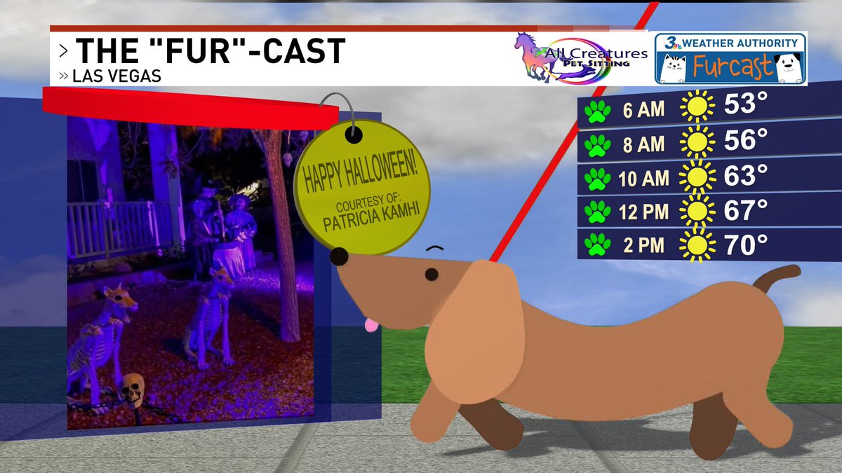 Thanks for sending in these cool Halloween pics from the Lamplight community in Centennial Hills Patricia! Just in time for spooky season... 

Share your pet pics or Halloween pet pics by going to News3LV.com/ChimeIn 
#WeatherAuthority #LasVegas