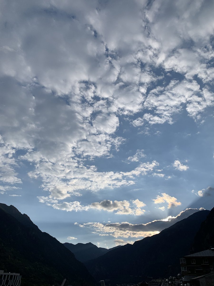 Montse Guiu i Mas tweet media