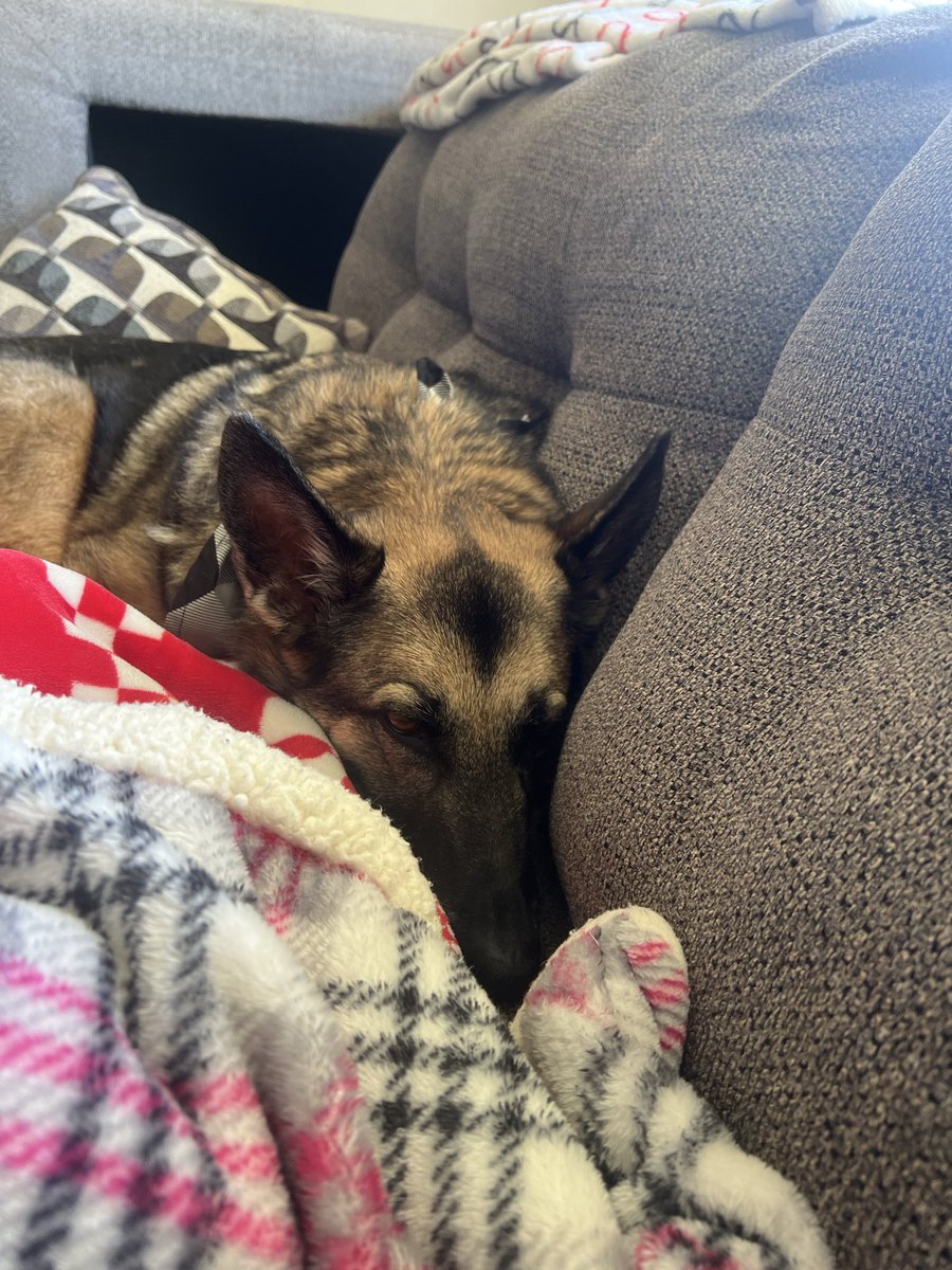 ttttaymo's tweet photo. Sweet baby https://t.co/X0r9LVLxNW