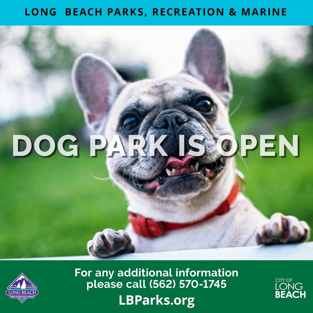 Park Update- All trails and dog parks are open!