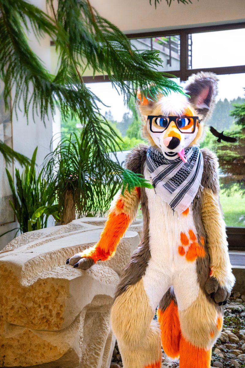 Baddy ๐พ (@baddydawuff) on Twitter photo You might be thinking things like - โUgh, is that Baddy again? Is he posting another generic pose? ๐โ 
... Thatโs right you precious ray of sunshine - Iโm so back, shedding all over your timeline! ๐คช You might be thinking things like - โUgh, is that Baddy again? Is he posting another generic pose? ๐โ 
... Thatโs right you precious ray of sunshine - Iโm so back, shedding all over your timeline! ๐คช