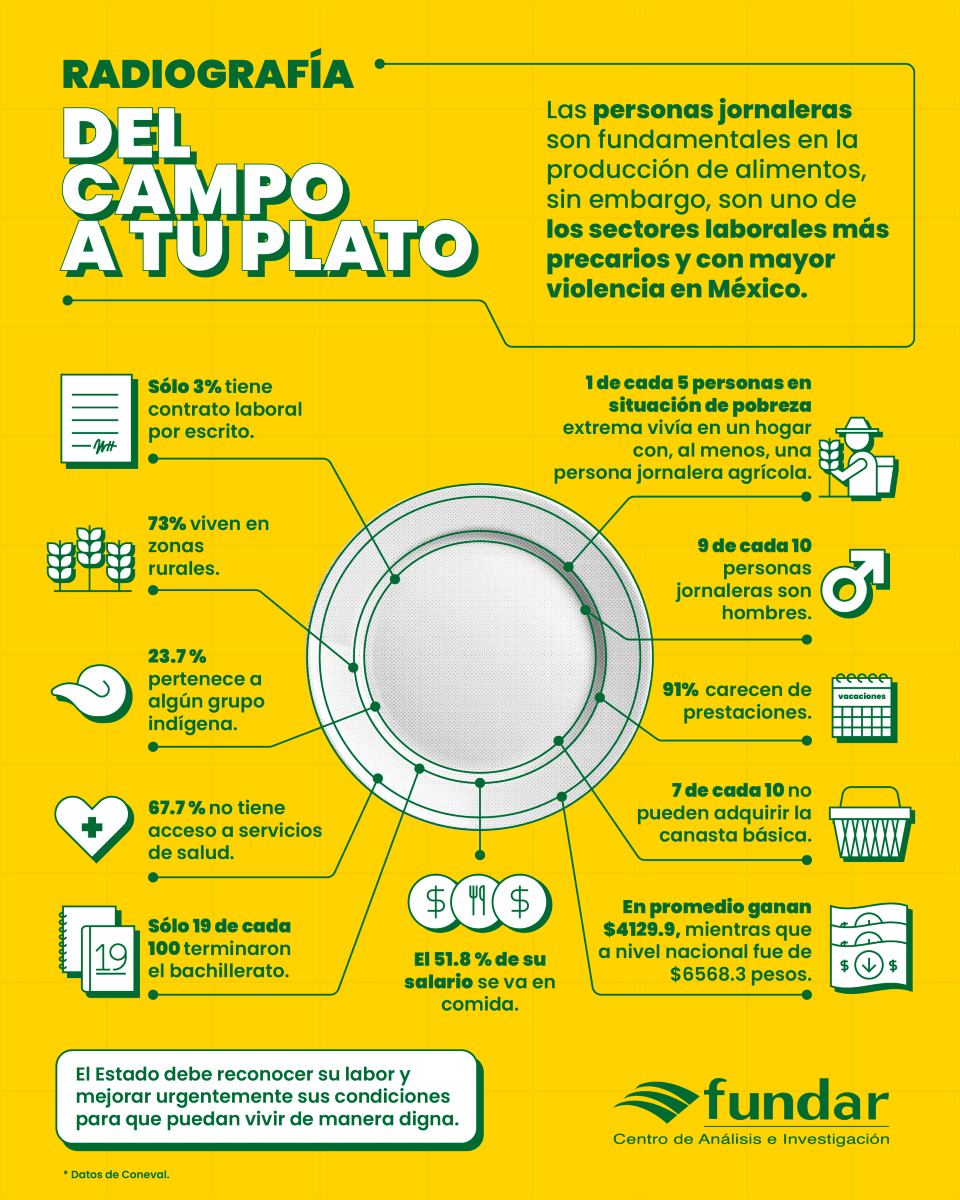 En el Día de la Alimentación, recordemos que cada plato es posible gracias a las personas jornaleras 👨‍🌾👩‍🌾. Pese a ser un pilar, son uno de los sectores más vulnerables de México. Es urgente que el Estado les reconozca y mejore sus condiciones para garantizarles una vida digna.