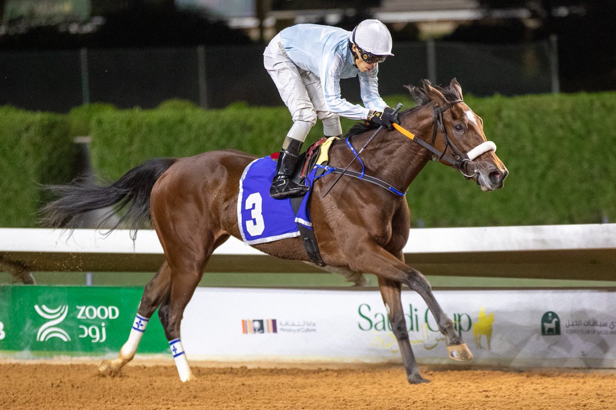 An overjoyed team celebrates the victory of Race 6 winner ALLAJAYN, an Irish-bred 2yo daughter of Profitable bred by @lodgeparkstud who graduates at second asking. 🏇🇸🇦 #SaudiRacing #RiyadhSeason
