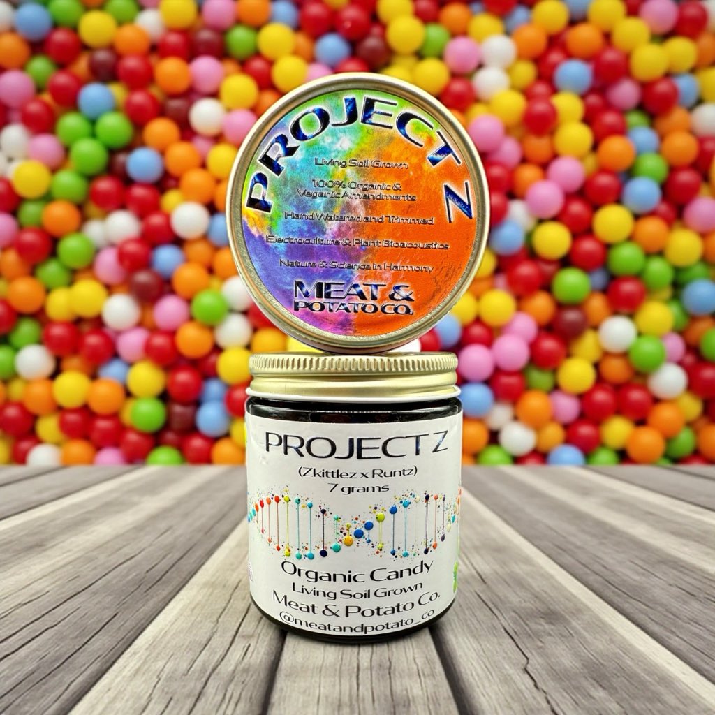 Gas Station tweet media