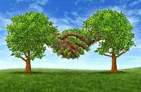 Simcsherry's tweet image. We've created a stock market group for stock enthusiasts around the world to learn from each other and grow together.

I'll share the latest market trends and news, as well as daily stock recommendations.

WhatsApp: wa.me/15853109570

Add me and reply "6" to join for free.