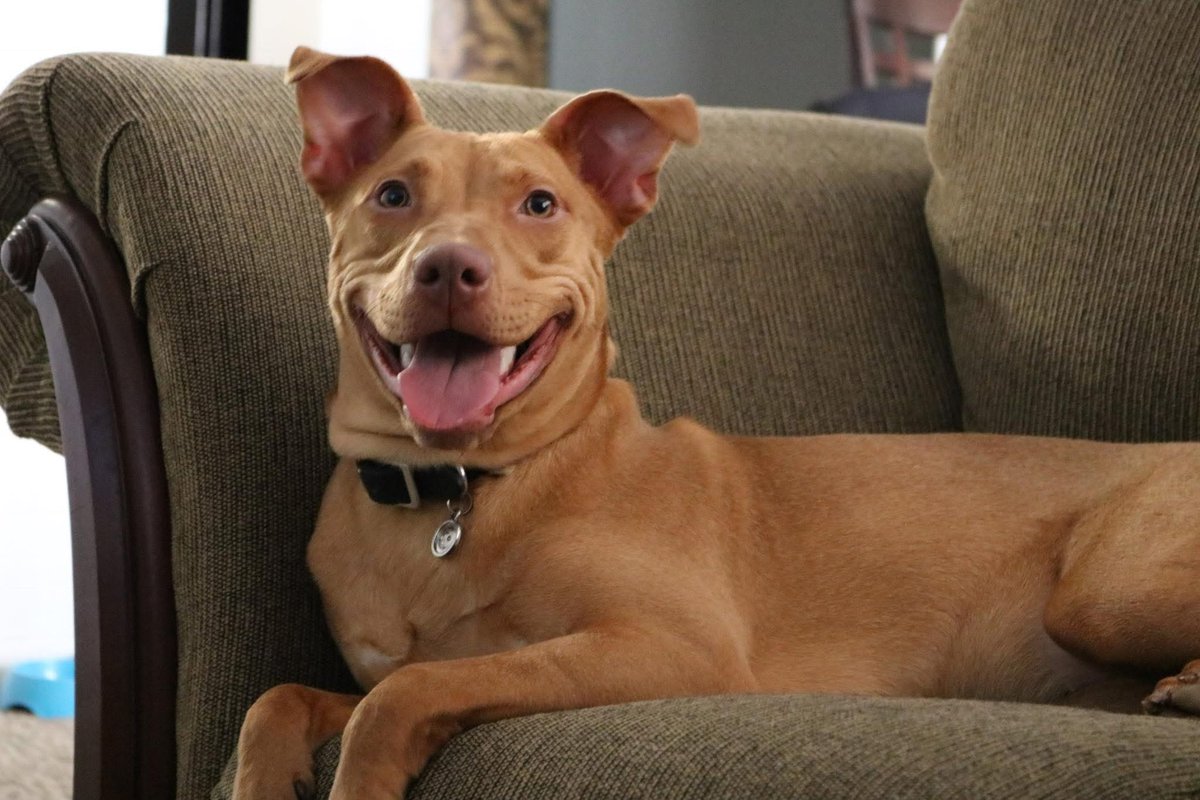 Mi niña Luna se ha ido con Dios! Me siento mal, la vida me ha arrancado un pedazo del corazón! Anoche te hice muchas cosquillas y jugamos mucho, te di muchos besitos en la panza, te dije lo mucho que te amaba, te bese las orejitas… ay mi niña! 

Oren por mi por favor! Me siento