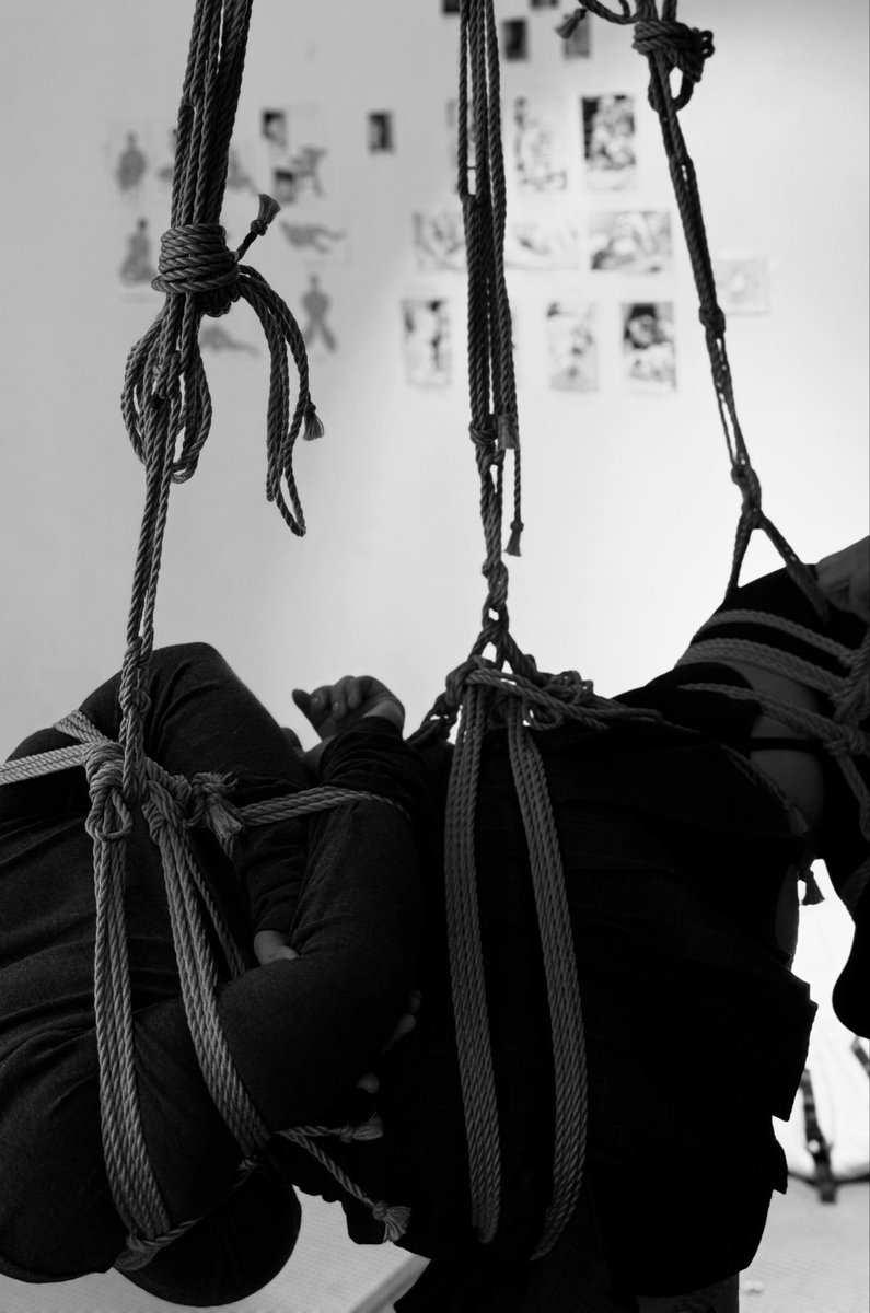 鲨鱼爱吃汉堡包 tweet media