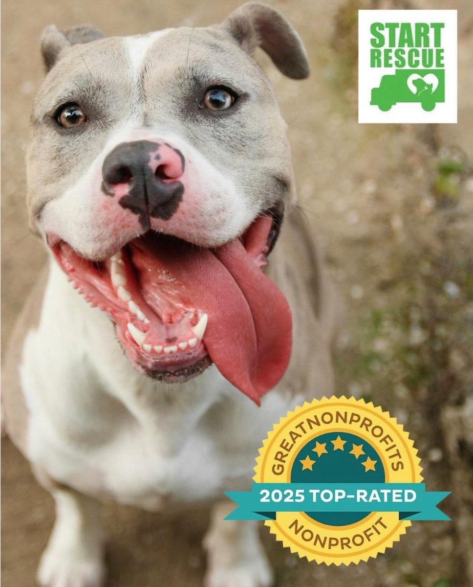 START Rescue tweet media