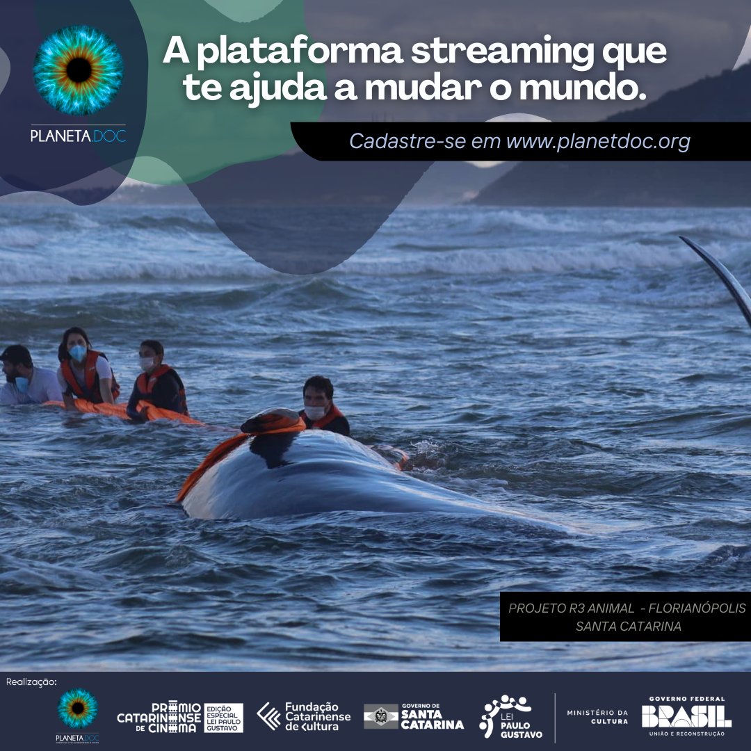 PlanetaDoc's tweet image. 🌊 Em Florianópolis, o trabalho da @R3animal inspira cuidado e regeneração — salvando animais marinhos e promovendo consciência ambiental.
🎬 Conheça histórias que ajudam a mudar o mundo em planetdoc.org
#Planetadoc #R3Animal #Sustentabilidade #Florianópolis