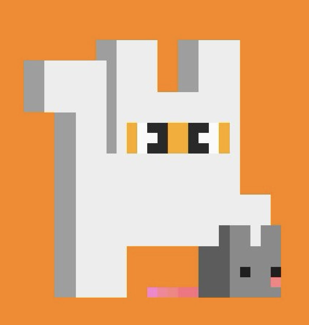 BrendenCole17's tweet image. My personal favourite, cute clean and orange 🍊 @nekonekobtc 👇