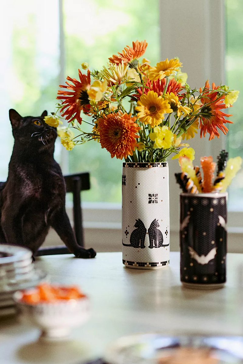 deal_vista's tweet image. Limited Time Deal: Halloween Bistro Stoneware Vase #SpookyDecor
Now $26.60 (Was $38.00) – Perfect centerpiece for Halloween vibes!
sovrn.co/bsgieda