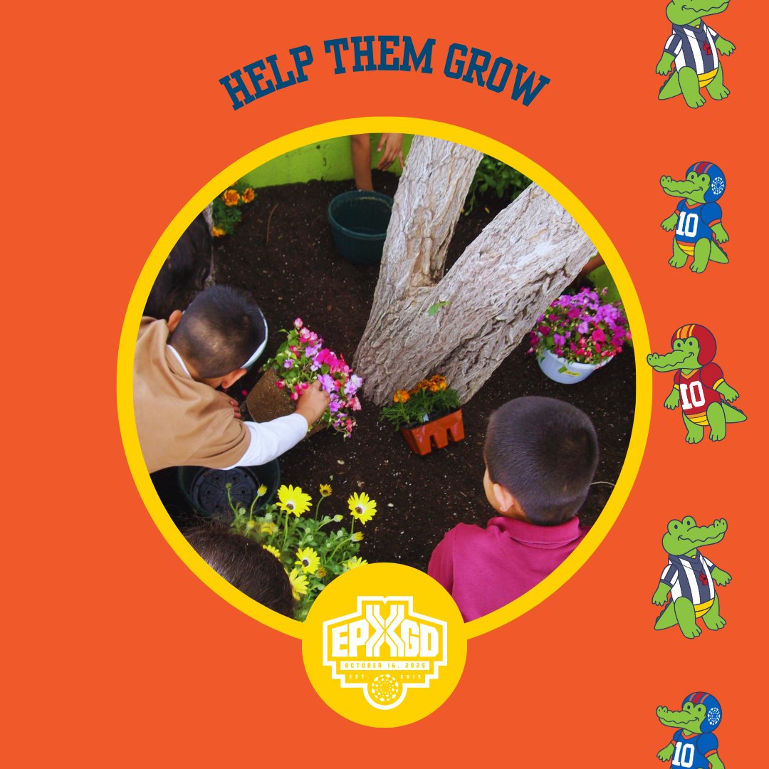 Project VIDA tweet media