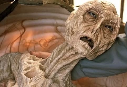 Them: Don’t worry this is the last Bitcoin dump before the pump. 

Me: