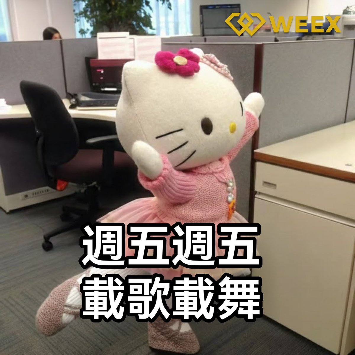 WEEX唯客中文 tweet media