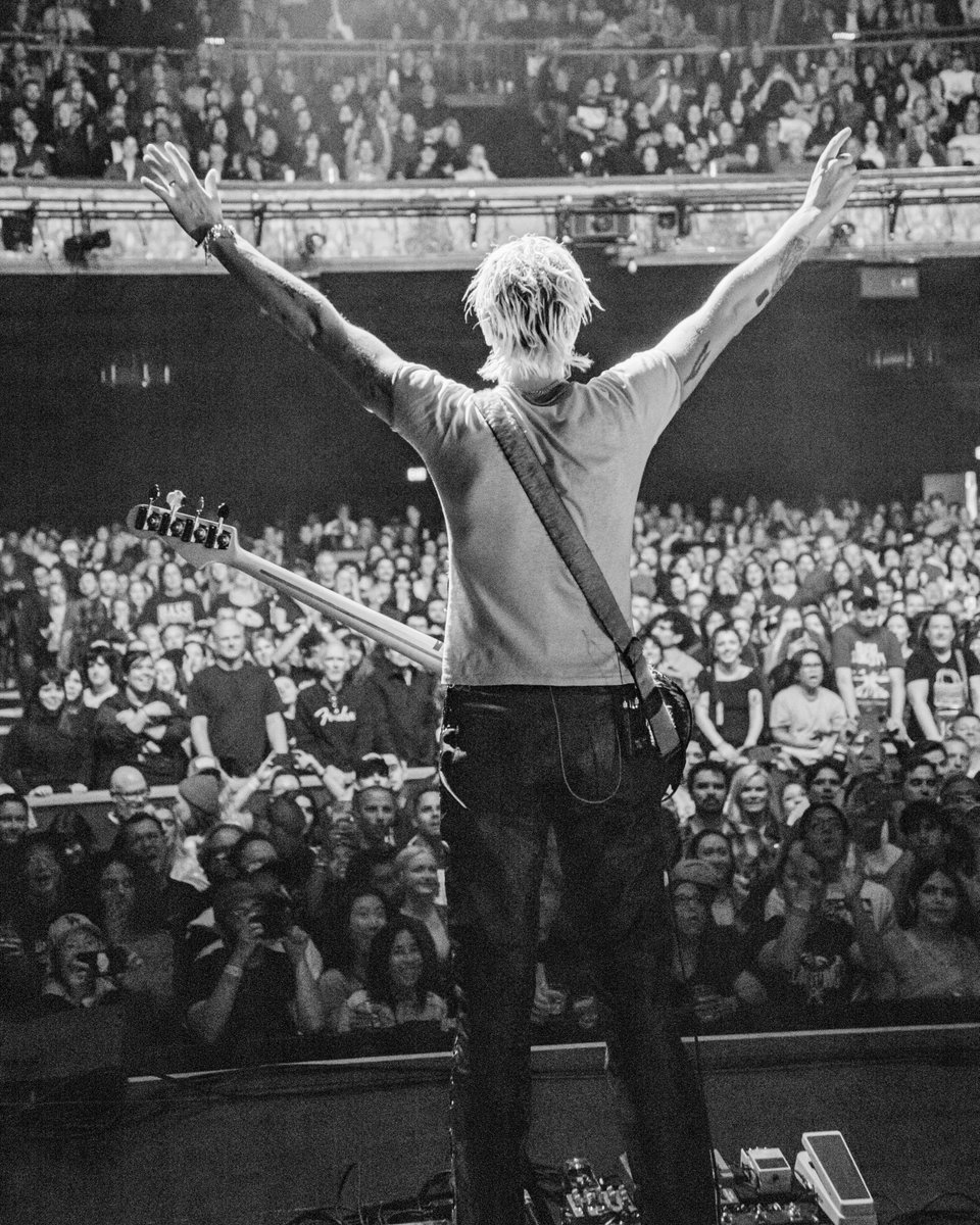 Wolf Alice tweet media