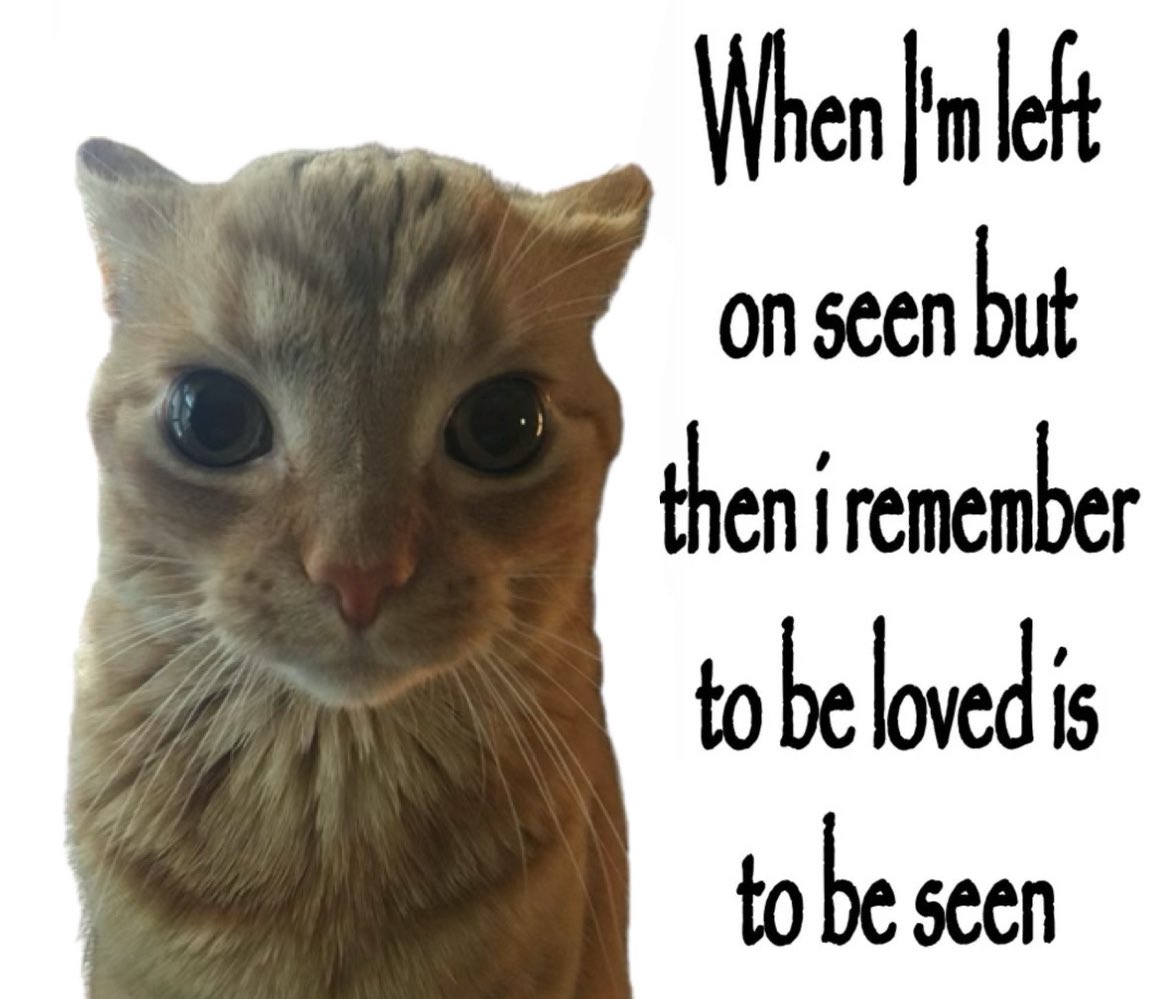 LiterallyMeCats (@literallymecats) on Twitter photo 