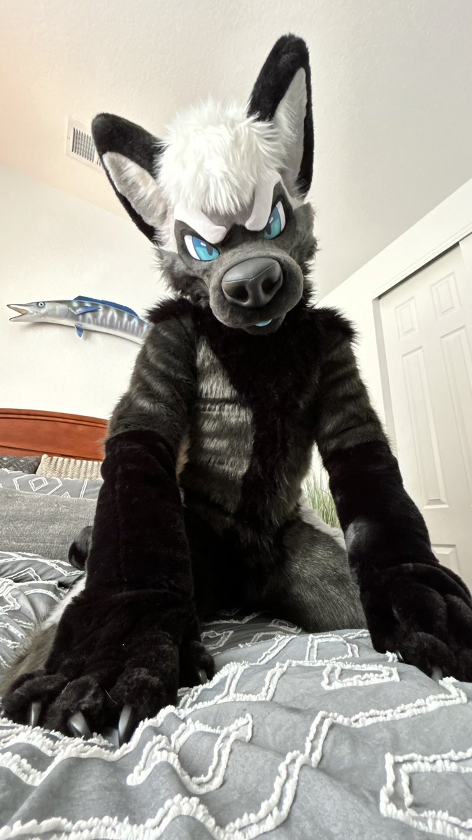 LaetansX's tweet image. how to find me at Foxtrot this weekend! :3