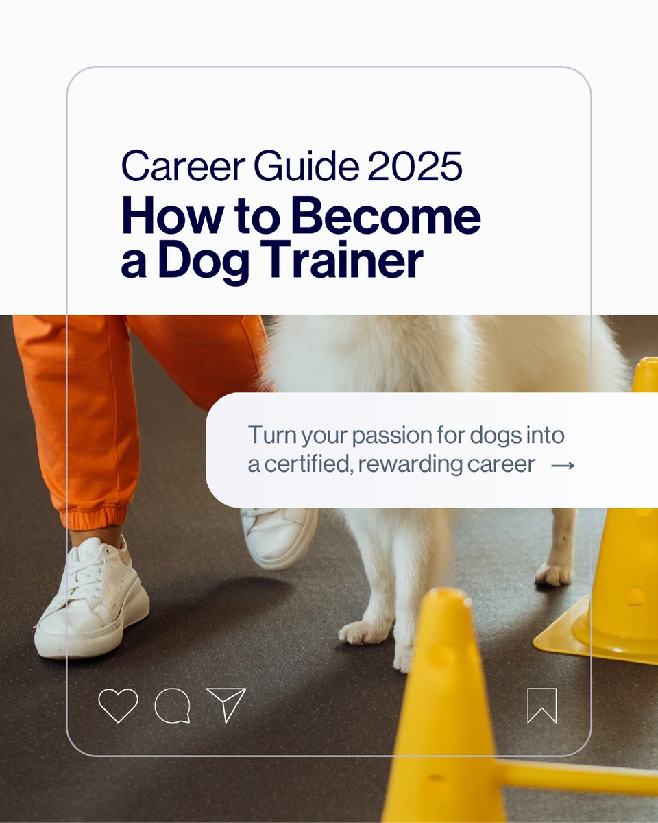 Want to turn your love for dogs into a rewarding career? 🐾 Becoming a certified dog trainer is easier than you think — and you can do it online at your own pace!

✨ Read the full guide: tinyurl.com/4h3cz297

#DogTrainerLife #PetCareProfessionals #QCPetStudies
