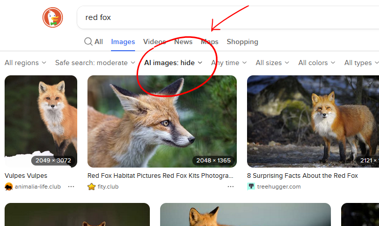 CyprienCoon's tweet image. Artists looking for reference images:
DuckDuckGo added a native feature to "Hide AI images" a while back. Not perfect, but it does a fair job and really helps wade through the garbage.