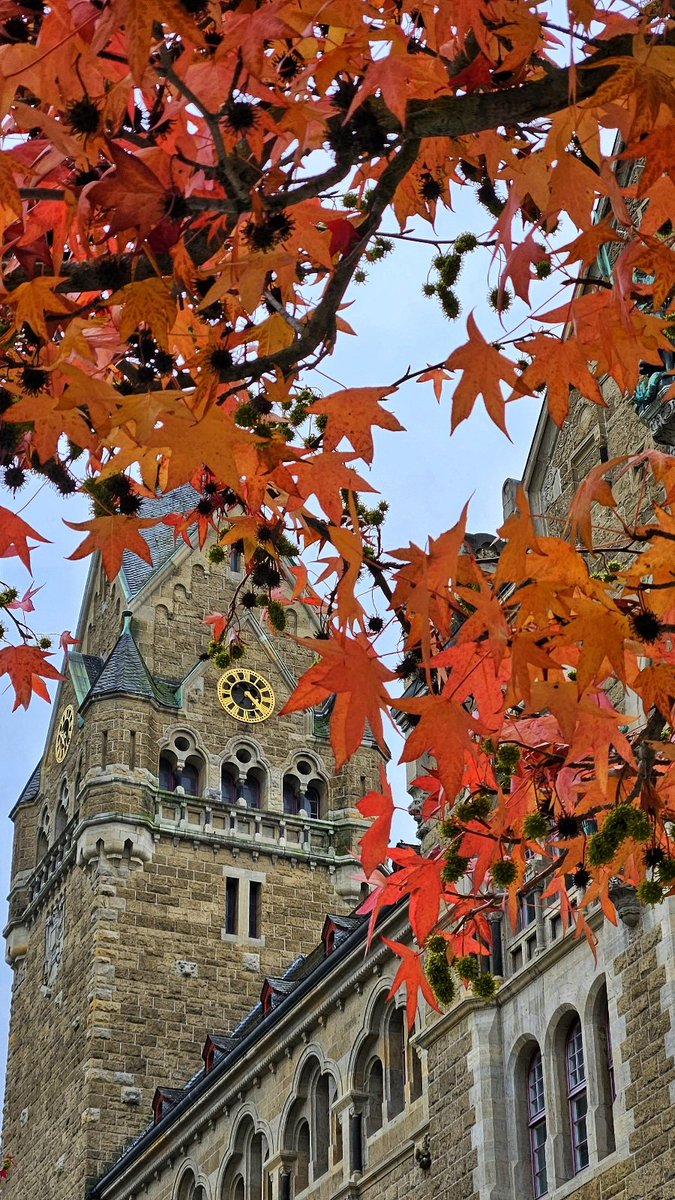 Herbstmotiv. 
Herbstimpressionen.