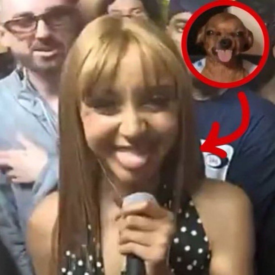 a cada vez q eu conto uma mentira meu pau cresce 2cm aceitem
